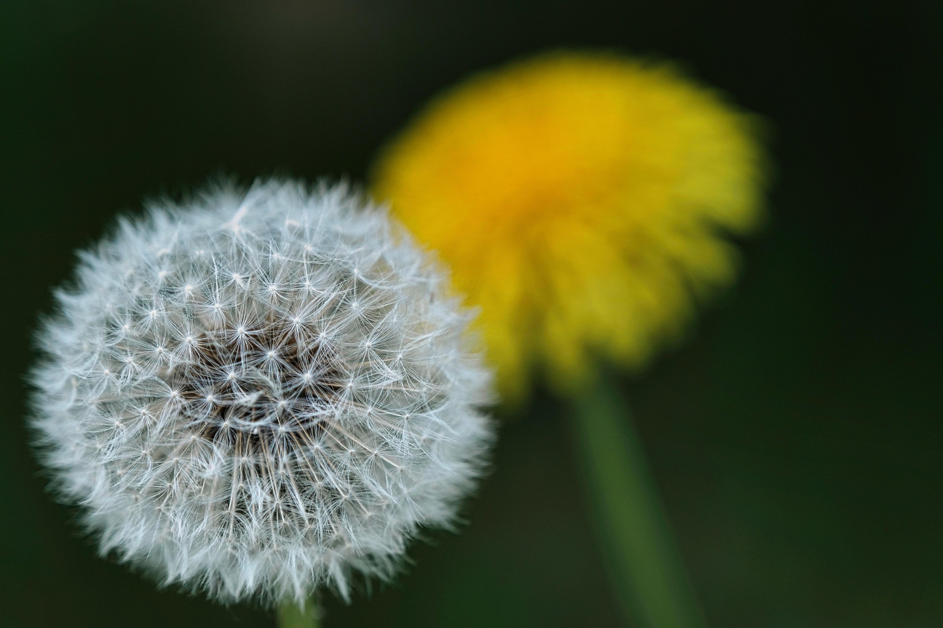 Изображение и текст Изображение и текст